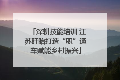深耕技能培训 江苏盱眙打造“职”通车赋能乡村振兴
