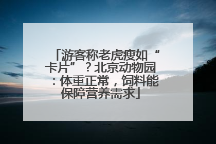 游客称老虎瘦如“卡片”？北京动物园：体重正常，饲料能保障营养需求