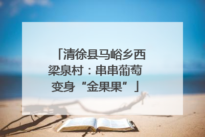 清徐县马峪乡西梁泉村：串串葡萄变身“金果果”