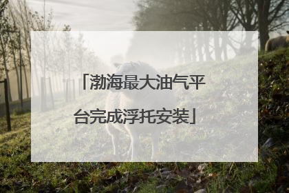 渤海最大油气平台完成浮托安装