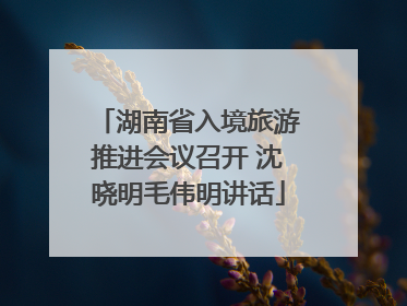 湖南省入境旅游推进会议召开 沈晓明毛伟明讲话