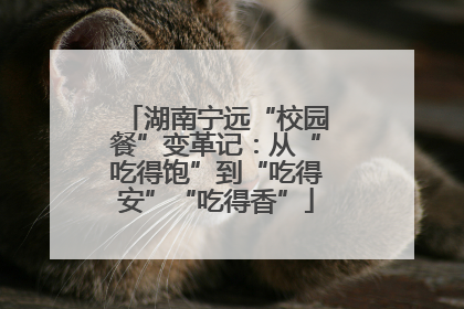 湖南宁远“校园餐”变革记：从“吃得饱”到“吃得安”“吃得香”