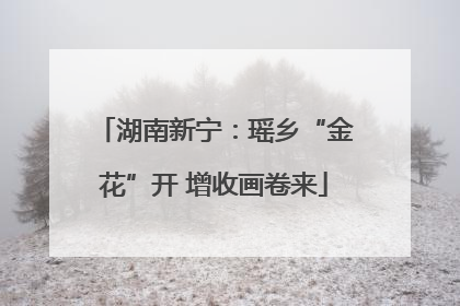 湖南新宁：瑶乡“金花”开 增收画卷来