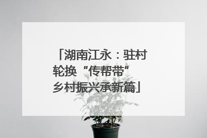 湖南江永：驻村轮换“传帮带” 乡村振兴承新篇