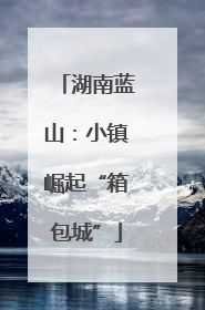 湖南蓝山：小镇崛起“箱包城”