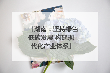 湖南：坚持绿色低碳发展 构建现代化产业体系