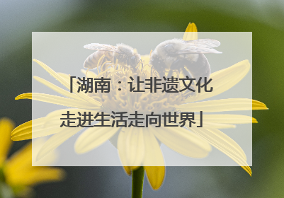 湖南：让非遗文化走进生活走向世界