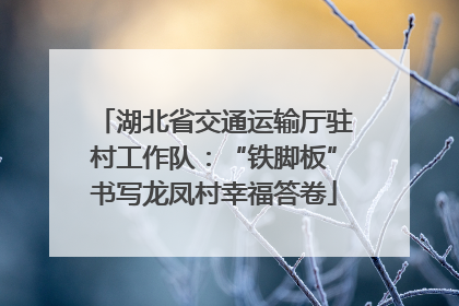 湖北省交通运输厅驻村工作队：“铁脚板”书写龙凤村幸福答卷