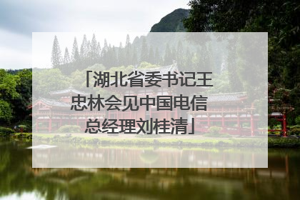 湖北省委书记王忠林会见中国电信总经理刘桂清