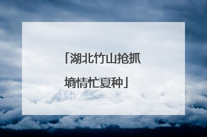 湖北竹山抢抓墒情忙夏种