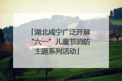湖北咸宁广泛开展“六一”儿童节消防主题系列活动