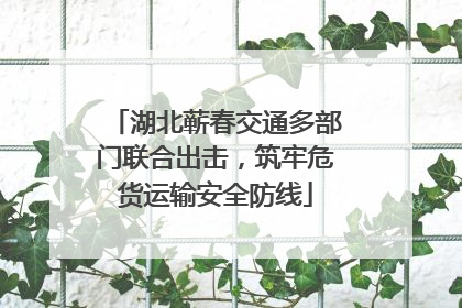 湖北蕲春交通多部门联合出击，筑牢危货运输安全防线