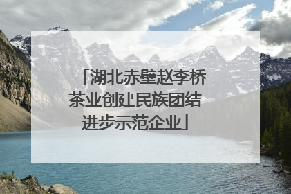 湖北赤壁赵李桥茶业创建民族团结进步示范企业