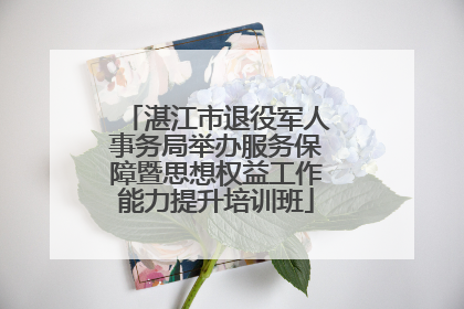 湛江市退役军人事务局举办服务保障暨思想权益工作能力提升培训班
