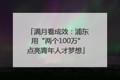满月看成效：浦东用“两个100万”点亮青年人才梦想