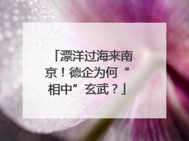 漂洋过海来南京！德企为何“相中”玄武？