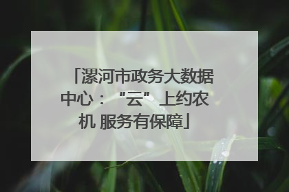 漯河市政务大数据中心：“云”上约农机 服务有保障