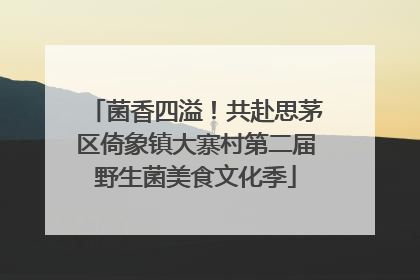 菌香四溢！共赴思茅区倚象镇大寨村第二届野生菌美食文化季