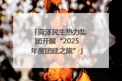 菏泽民生热力集团开展“2025年度团建之旅”