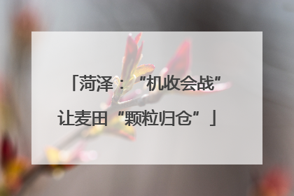 菏泽：“机收会战”让麦田“颗粒归仓”