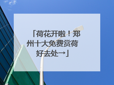 荷花开啦！郑州十大免费赏荷好去处→