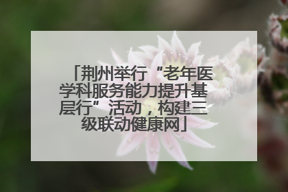 荆州举行“老年医学科服务能力提升基层行”活动，构建三级联动健康网