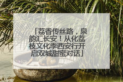 荔香传丝路，泉韵汇长安！从化荔枝文化季西安行开启双城甜蜜对话