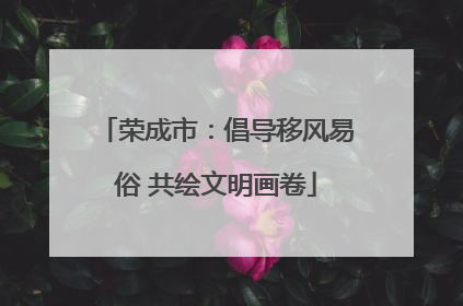 荣成市：倡导移风易俗 共绘文明画卷