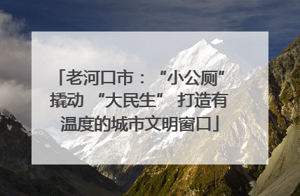 老河口市：“小公厕” 撬动 “大民生” 打造有温度的城市文明窗口