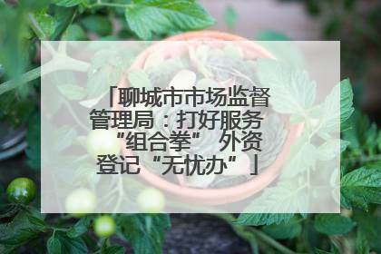 聊城市市场监督管理局：打好服务“组合拳” 外资登记“无忧办”