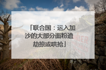 联合国：运入加沙的大部分面粉遭劫掠或哄抢