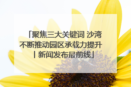 聚焦三大关键词 沙湾不断推动园区承载力提升丨新闻发布最前线