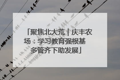 聚焦北大荒｜庆丰农场：学习教育强根基 多管齐下助发展