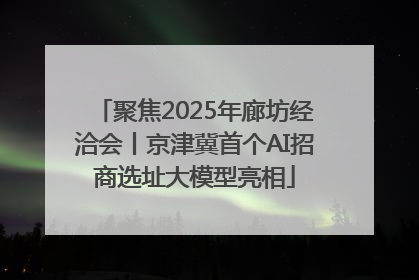 聚焦2025年廊坊经洽会丨京津冀首个AI招商选址大模型亮相