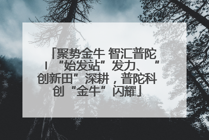 聚势金牛 智汇普陀〡“始发站”发力、“创新田”深耕，普陀科创“金牛”闪耀