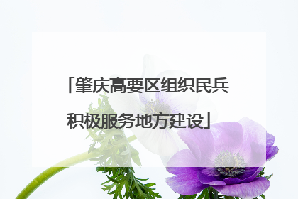 肇庆高要区组织民兵积极服务地方建设