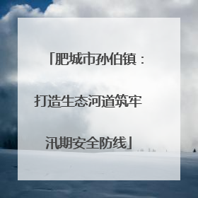 肥城市孙伯镇：打造生态河道筑牢汛期安全防线