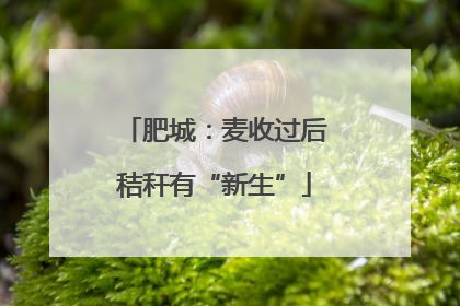 肥城：麦收过后秸秆有“新生”