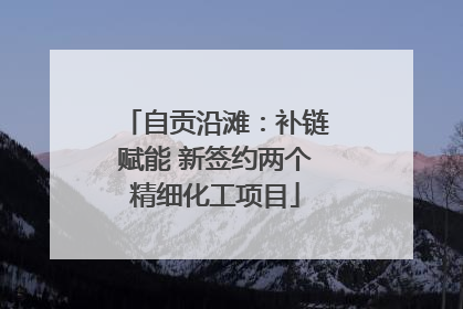 自贡沿滩：补链赋能 新签约两个精细化工项目