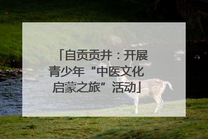 自贡贡井：开展青少年“中医文化启蒙之旅”活动