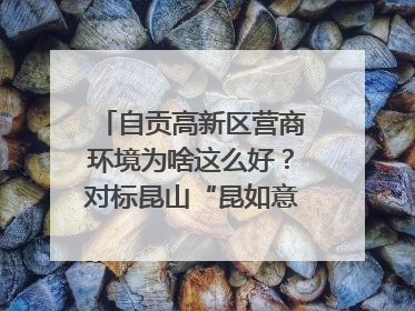 自贡高新区营商环境为啥这么好？对标昆山“昆如意”打造自贡“高兴办”｜美好生活有“盐”味