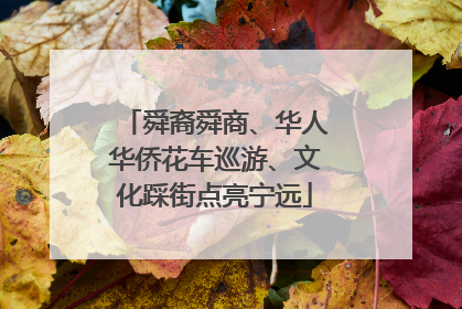 舜裔舜商、华人华侨花车巡游、文化踩街点亮宁远