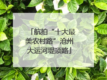 航拍“十大最美农村路”沧州大运河堤顶路