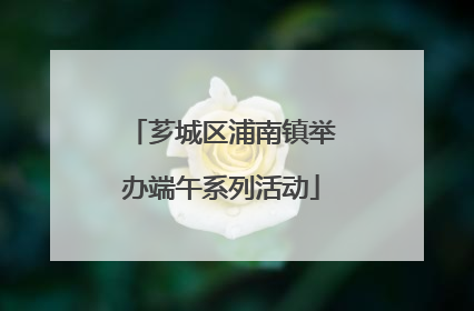 芗城区浦南镇举办端午系列活动
