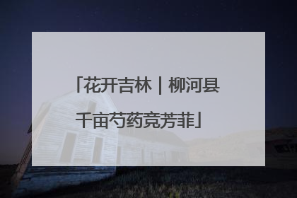 花开吉林｜柳河县千亩芍药竞芳菲