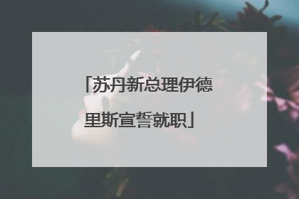 苏丹新总理伊德里斯宣誓就职