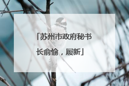 苏州市政府秘书长俞愉，履新