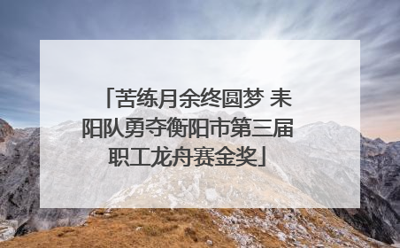苦练月余终圆梦 耒阳队勇夺衡阳市第三届职工龙舟赛金奖