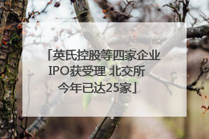 英氏控股等四家企业IPO获受理 北交所今年已达25家