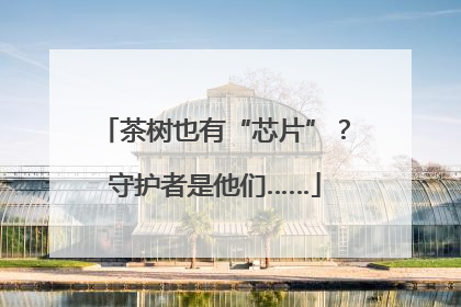茶树也有“芯片”？守护者是他们……